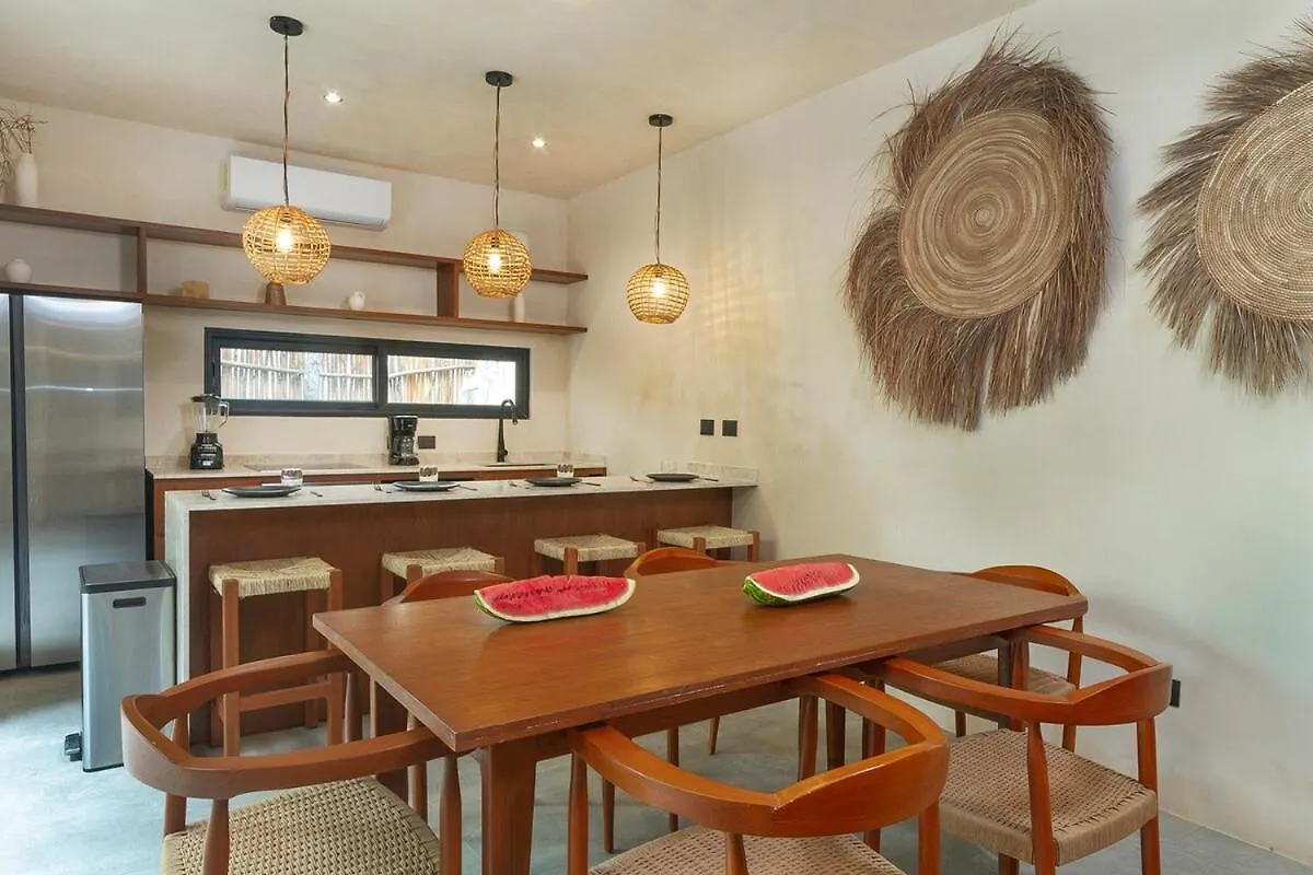 Boho Chic Apartment & Pool 图卢姆