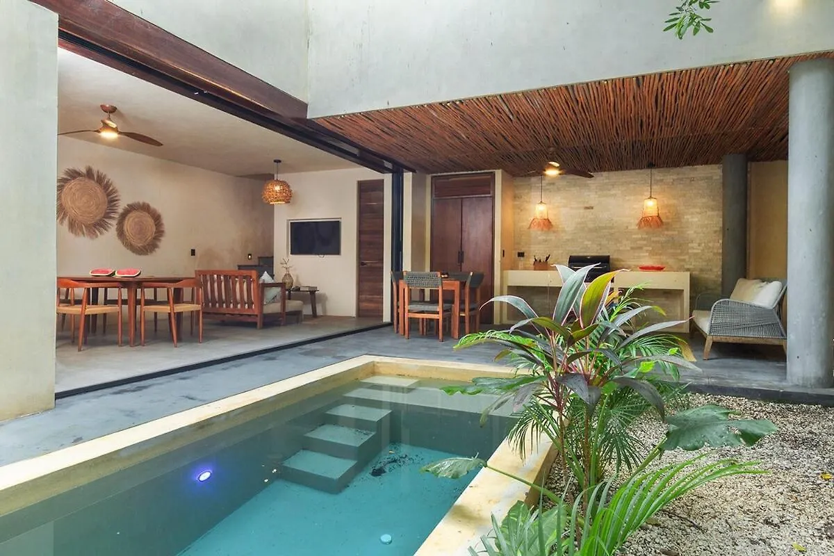 Boho Chic Apartment & Pool 图卢姆