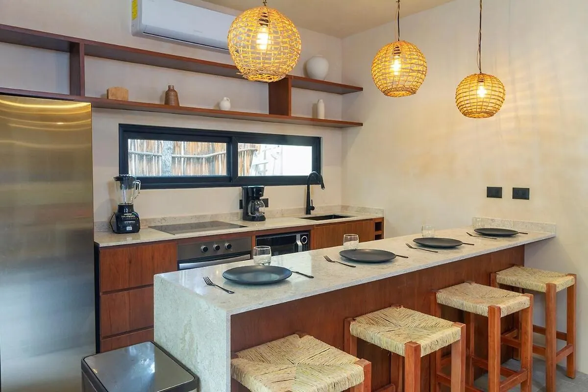 Boho Chic Apartment & Pool 图卢姆