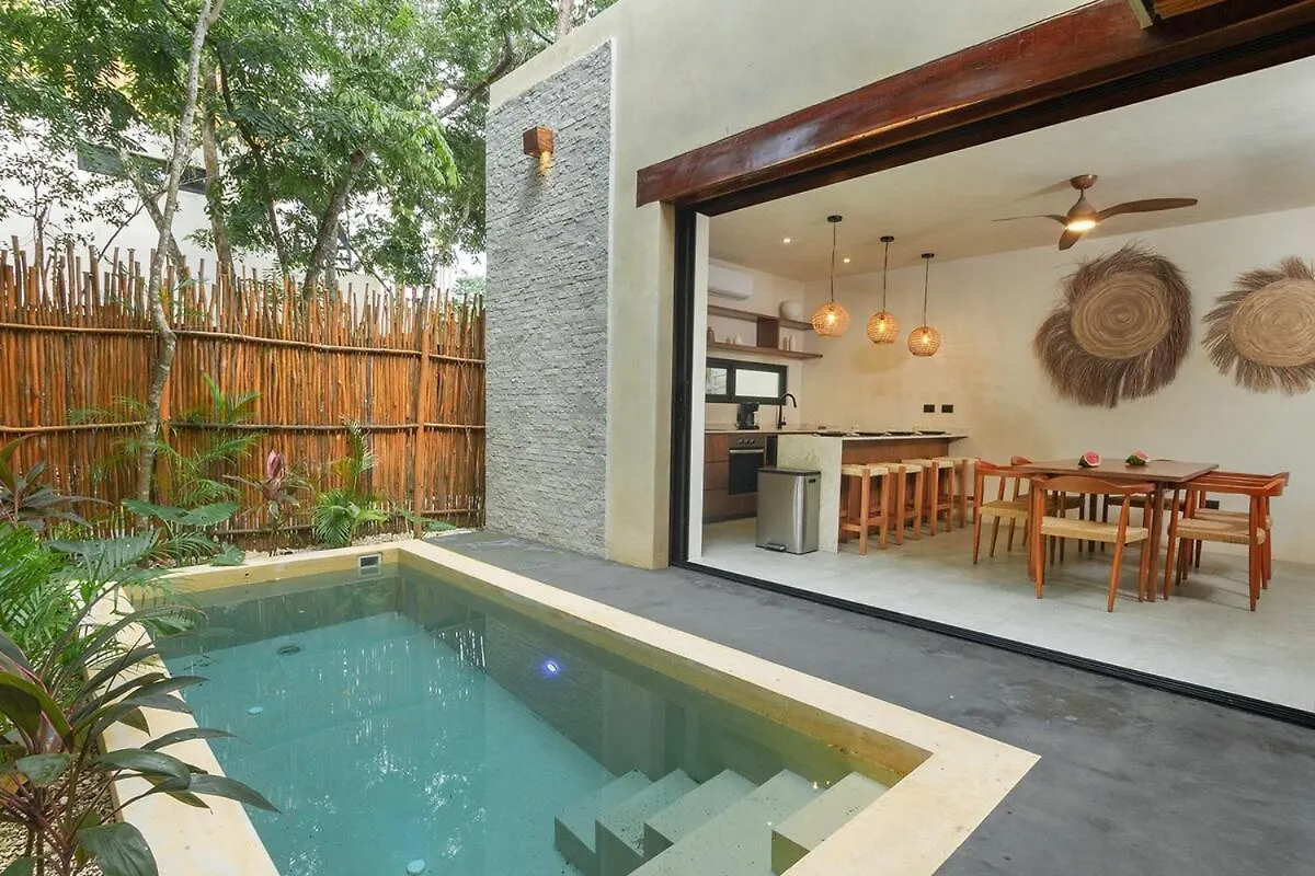 Boho Chic Apartment & Pool 图卢姆